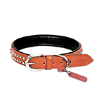 Dogs Collars