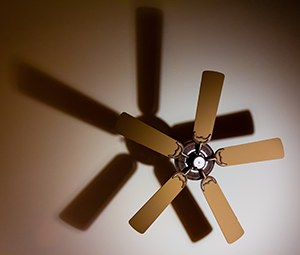 Ceiling Fan