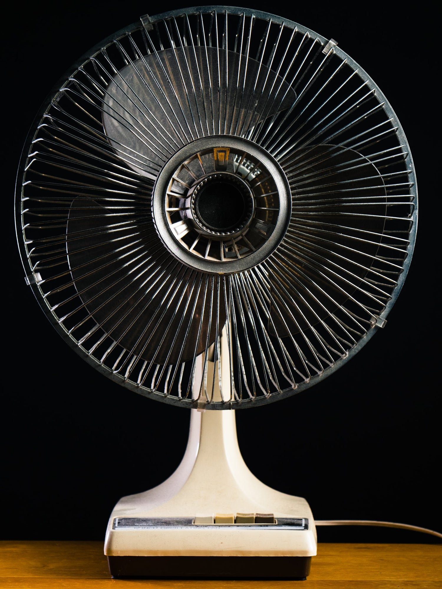 Fan
