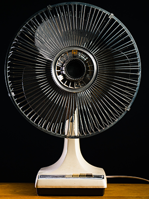 Pedestal Fan