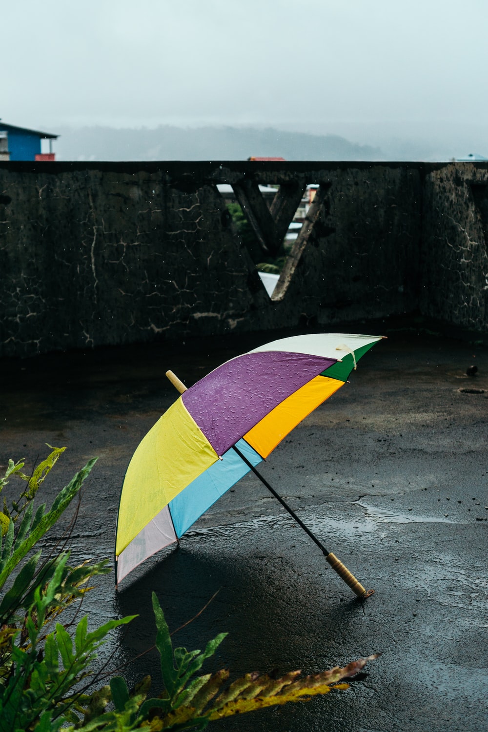 Umbrellas
