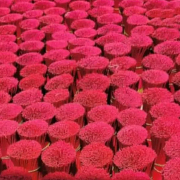 AROMIA INCENSE STICKS 10 pcs of 8 Incense Sticks-2