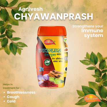 Agnivesh Chyawanprash 500gram-2