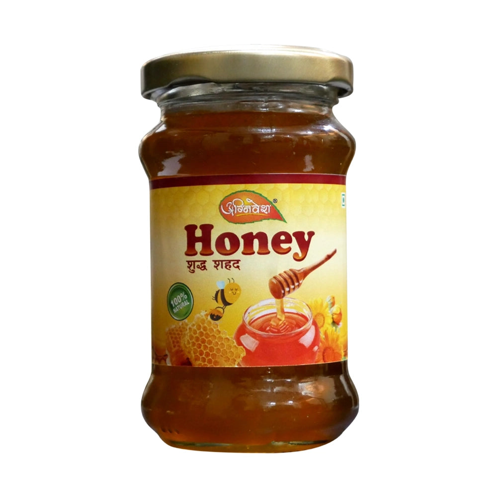 Agnivesh Honey 100g 1