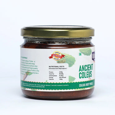 Biteorite Ancient Coleus Pickle, 250gm-2