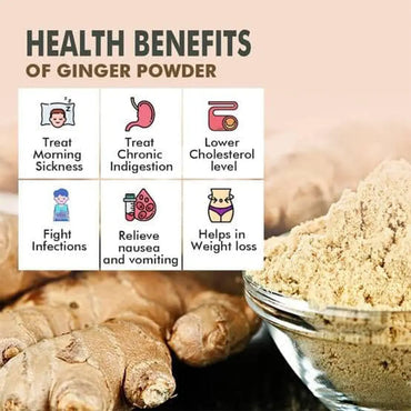 Dhyana Exim Dry Ginger Powder-2