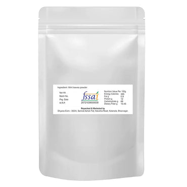 Dhyana Exim Mint Leaves Pudina Powder-2