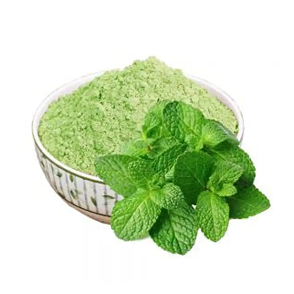 Dhyana Exim Mint Leaves Pudina Powder-3