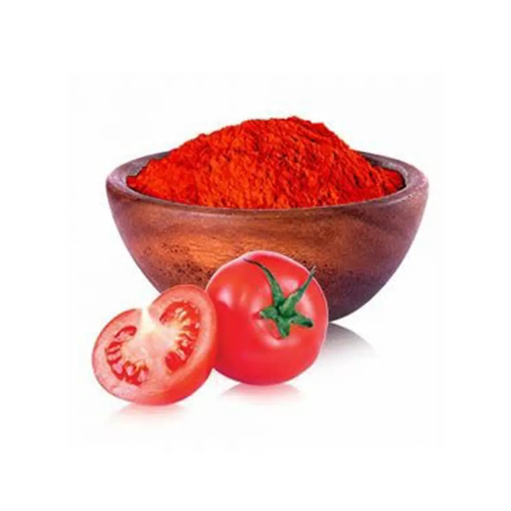 Dhyana Exim Tomato Powder-3