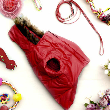 DogsMart Dog Windproof Winter Jackets -1