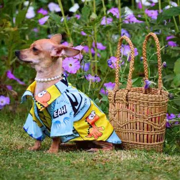 DogsMart Lv All Weather T Shirt For Dogs-2