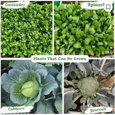 Grow Bag RECTANGLE(Size-24X12X12)-2