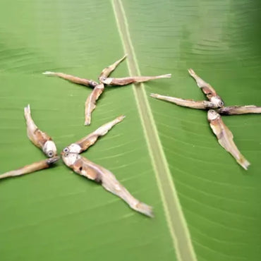 MAF Products Anchovy Dry Fish-3