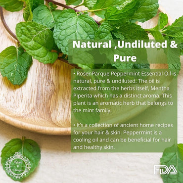 RosenParque 100% Pure & Natural Peppermint Essential Oil- 15ml (Pack of 5)