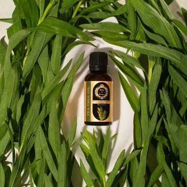 Natural Tea Tree Essential Oil-2
