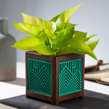 Point of Hue QUBO Aqua Pop Story Planter Pot-2