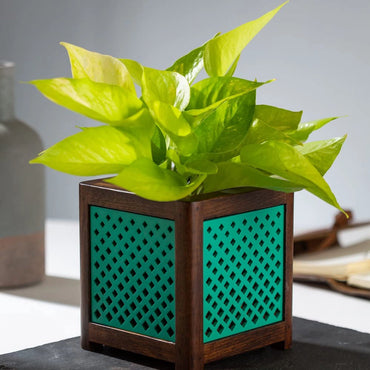 Point of Hue QUBO AquaGreen Planter Pot.2