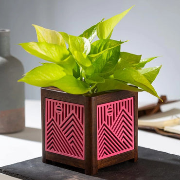 Point of Hue QUBO Cupid Story Planter Pot.2