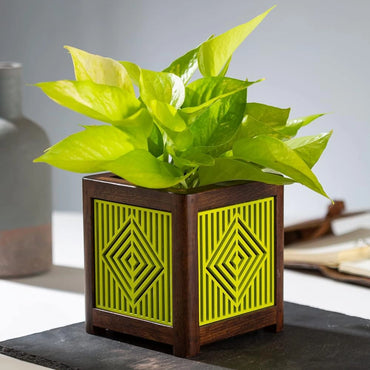 Point of Hue QUBO Lime Burst Liner Planter Pot.2