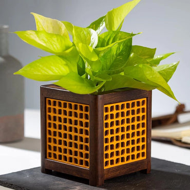 Point of Hue QUBO Musturd Leafy Planter Pot.2