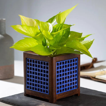 Point of Hue QUBO Placid Leafy Blue Planter Pot.2