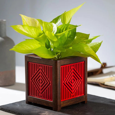 Point of Hue QUBO Pure Red Liner Planter Pot.2