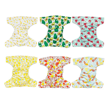 Reusable Cloth Diapers (2)