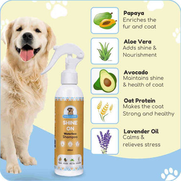 Shine On Waterless Shampoo-1