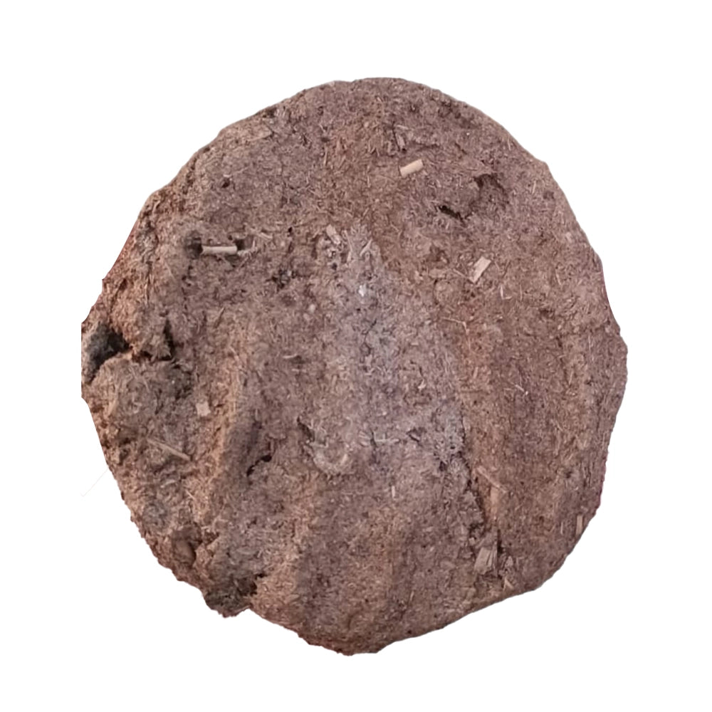 Suchetas India cow dunk cake-1