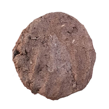 Suchetas India cow dunk cake-1