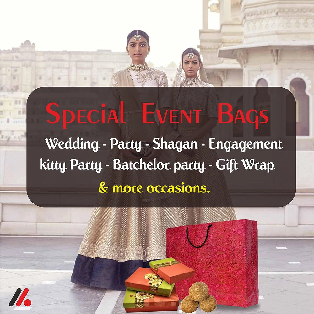 Sun paper industries Bags Printed imported craft Paper Bags-2