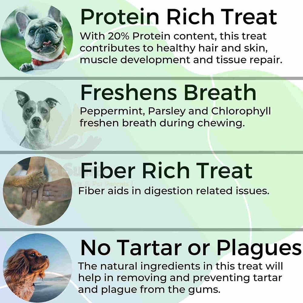 Twistix Hygiene Oral Treets Vanilla Mint Dog Treats-3