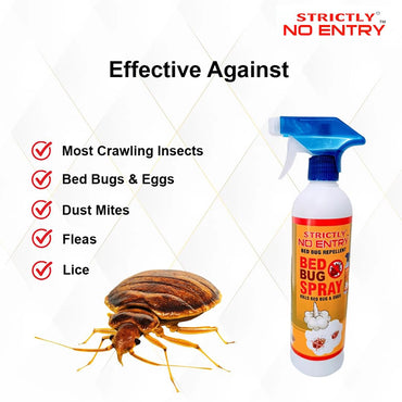 Bed Bug Spray Home Solution 500 Ml-2