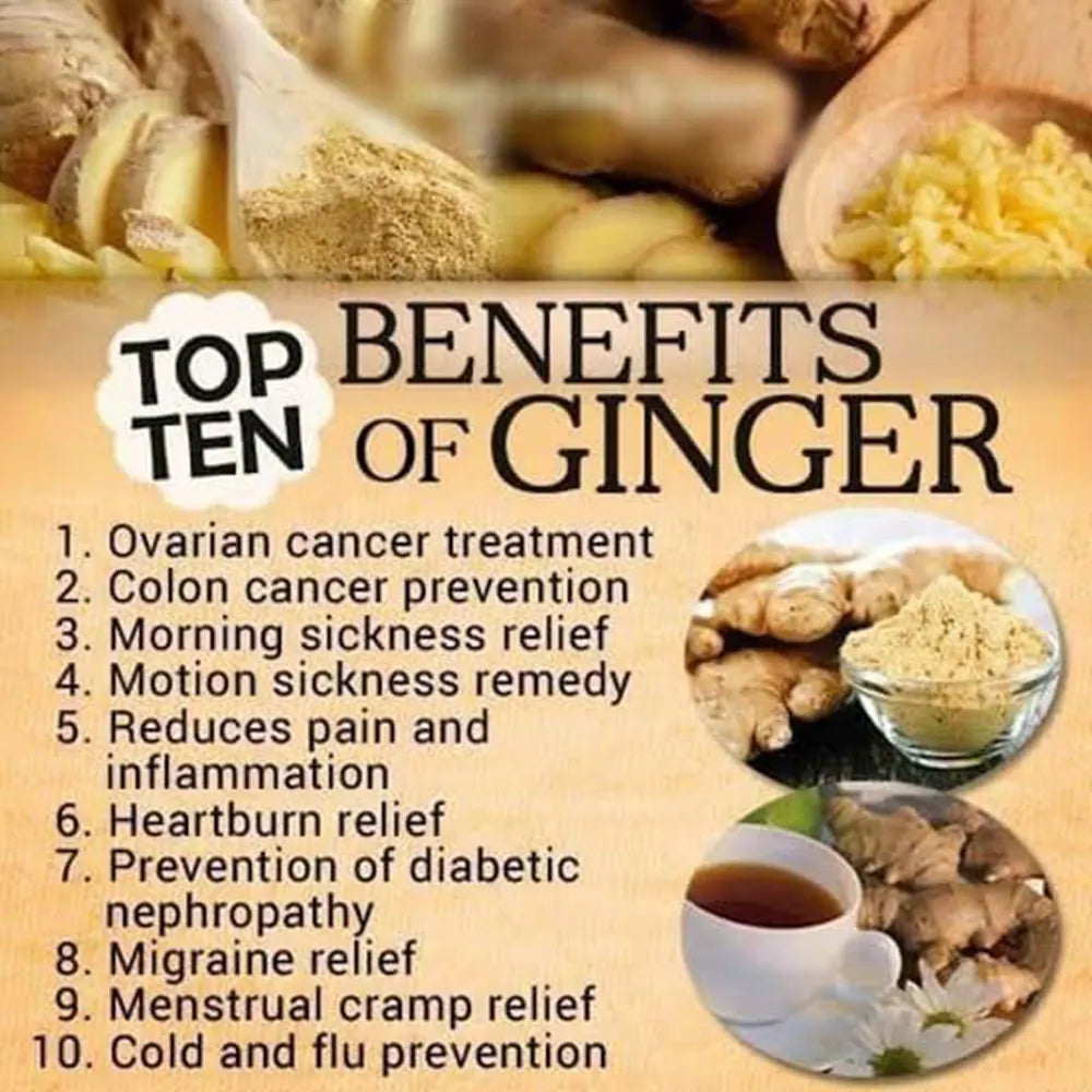 Dhyana Exim Dry Ginger Powder-3