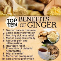 Dhyana Exim Dry Ginger Powder-3