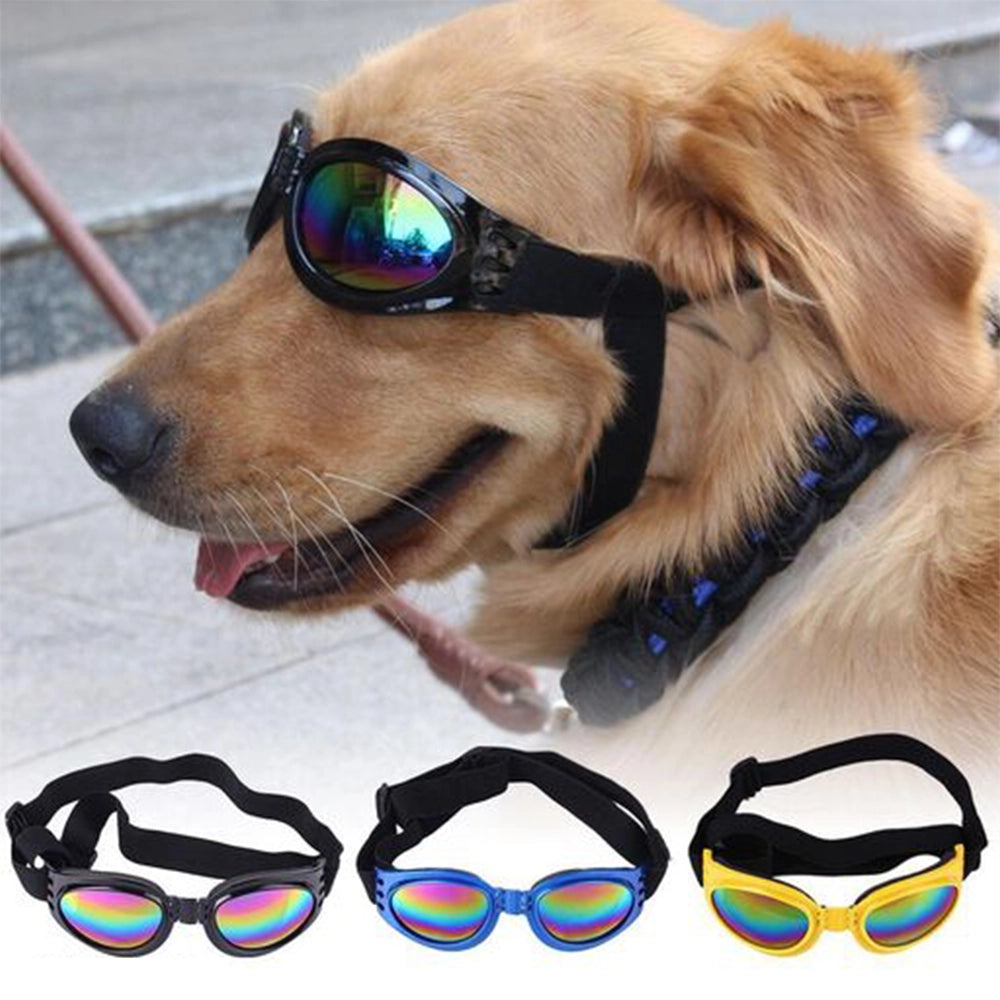 Dogsmart Dog Googles-1