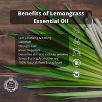 RosenParque 100% Pure &amp; Natural Lemongrass Essential Oil- 15ml (Pack of 5)