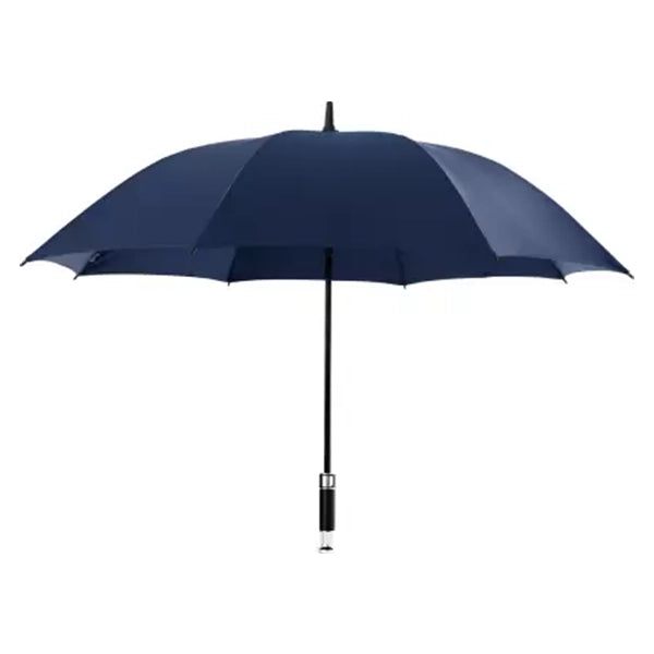 Long Blue Umbrella 3