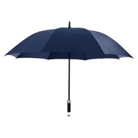 Long Blue Umbrella 3