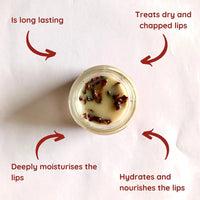 Vishisht Natural Peppermint Lip Balm 20 Grams (Pack of 5)