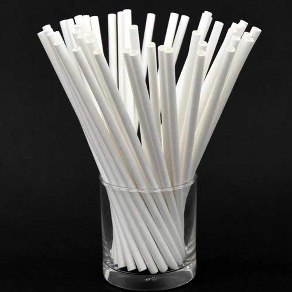SRI GURURAYA Paper Straw-2