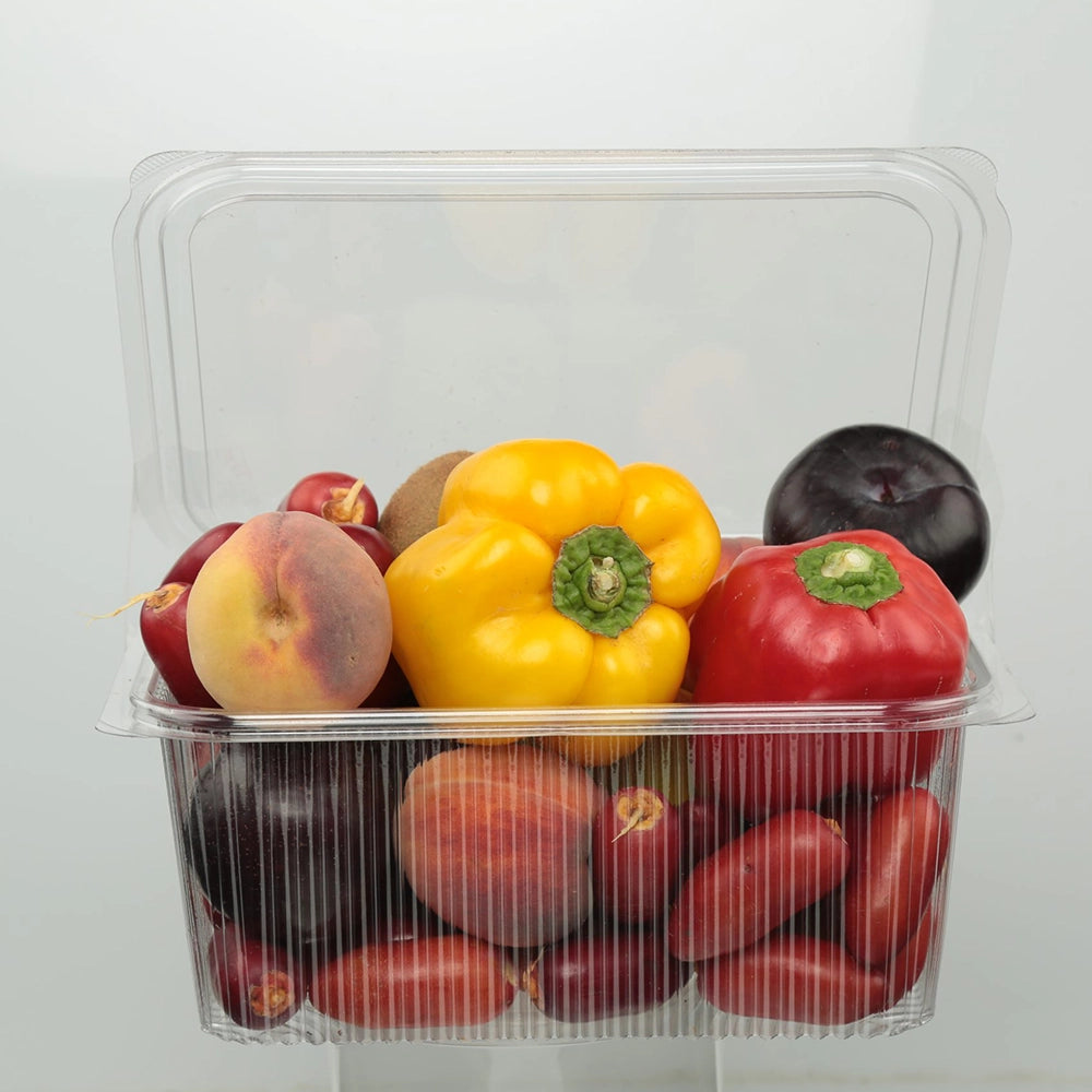 Saras Plastic Box 2000CC-2